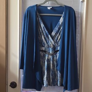 Blue and Snake Print Dress with Cardigan